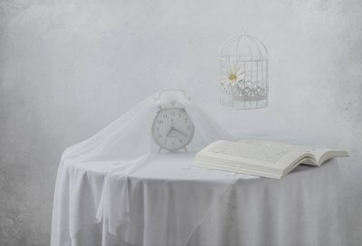 Kniha „Serene Clock“ – ptačí klec od Margareth Perfoncio