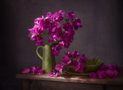 Živé zátiší s bougainvilleou od Margareth Perfoncio