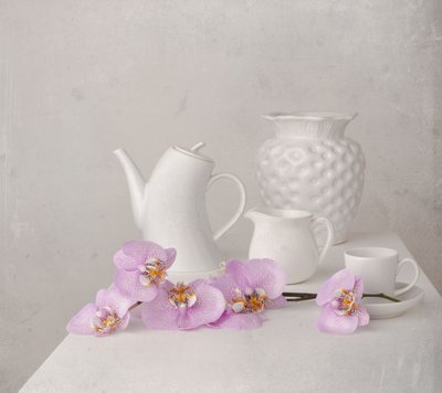 Zátiší s bílou orchidejí od Margareth Perfoncio