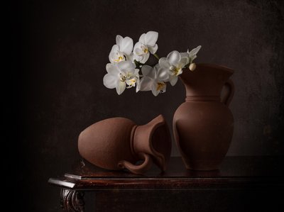 Zátiší s bílými orchidejemi od Margareth Perfoncio