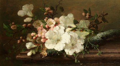 Margaretha Roosenboom - Zátiší s květem od Margaretha Roosenboom