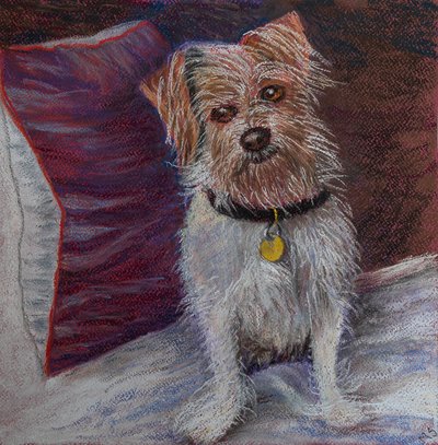 Můj malý pes na hedvábném polštáři, 2020 (pastel) od Margo Starkey