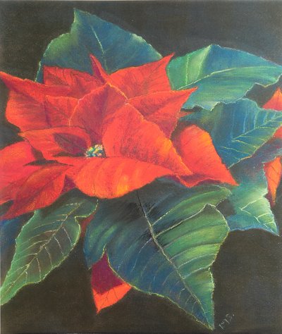 Vánoční hvězda, 2022 (pastel) od Margo Starkey