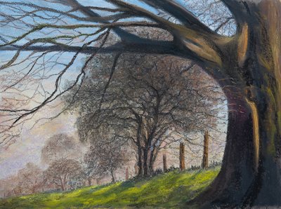 Naváté stromy.. Shroesbury, 2020 (pastel) od Margo Starkey