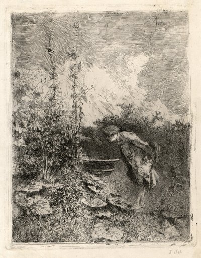Botanik od Marià Fortuny Marsal