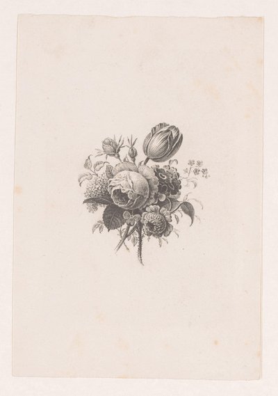 Kytice od Maria Geertruida de Goeje Barbiers (attributed to)