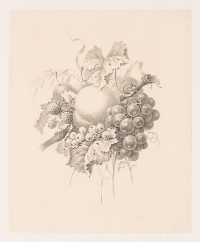Složení ovoce od Maria Geertruida de Goeje Barbiers (attributed to)