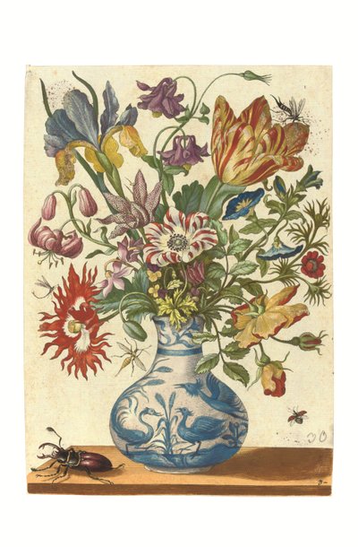 Deska z Blumenbuchu (ručně kolorovaná rytina) od Maria Sibylla Graff Merian