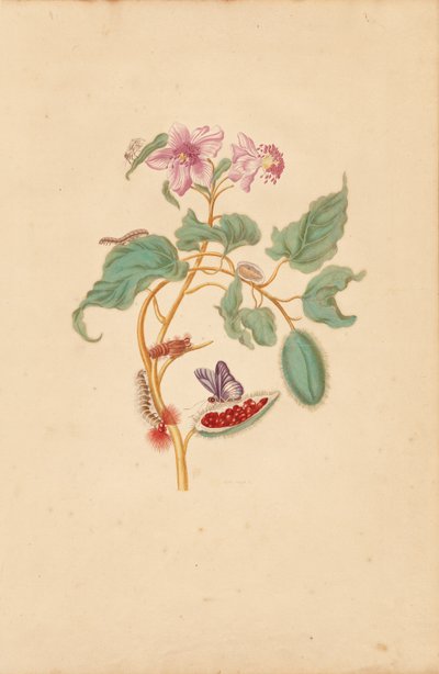 Strom Rocu s housenkami, můrami a motýly od Maria Sibylla Merian