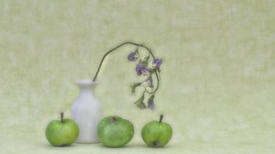 Jemné botanické zátiší od Marie-anne Stas