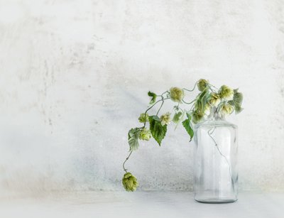  od Marie-anne Stas