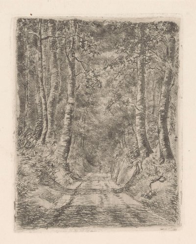 Les podél zapadlé cesty od Marie Adolphine van der Goes van Dirxland