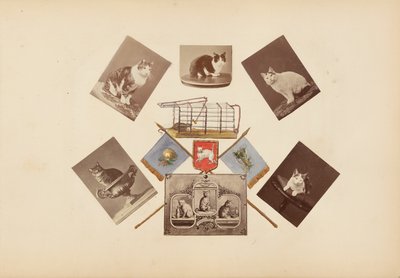 Album Madame B od Marie-Blanche-Hennelle Fournier