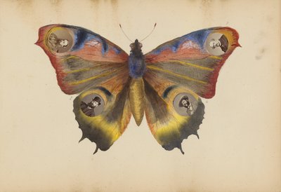 Album Madame B od Marie-Blanche-Hennelle Fournier