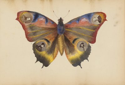 Album Madame B, 70. léta 19. století. od Marie-Blanche-Hennelle Fournier