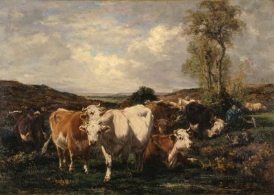 Stádo (olej na plátně) od Marie Dieterle