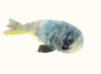 Aqua Green od Mark Adlington