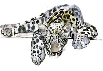 Arabský leopard, 2008 od Mark Adlington