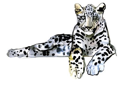 Arabský leopard, 2008 od Mark Adlington