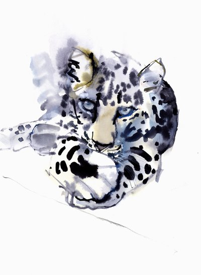 Arabský leopard, 2008 od Mark Adlington