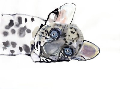 Arabský leopard, 2008 od Mark Adlington