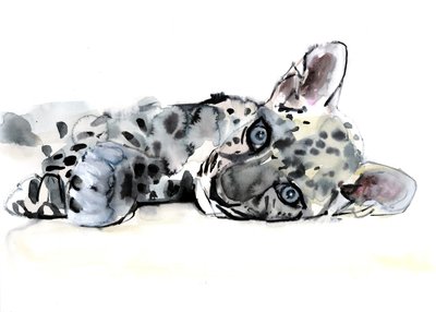 Mládě leoparda arabského, 2008 od Mark Adlington
