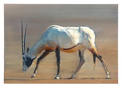 Arabian Oryx, 2010 (olej na papíře) od Mark Adlington