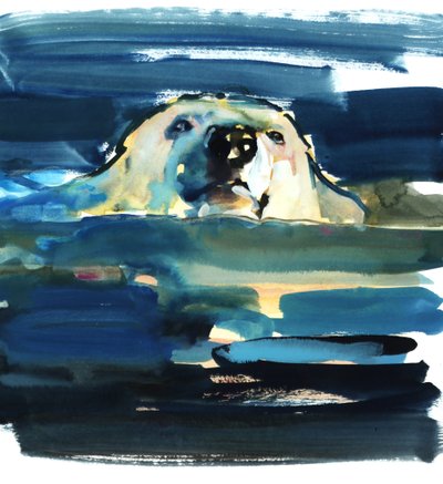 Arctic Swim, 2016, (akvarel na papíře) od Mark Adlington