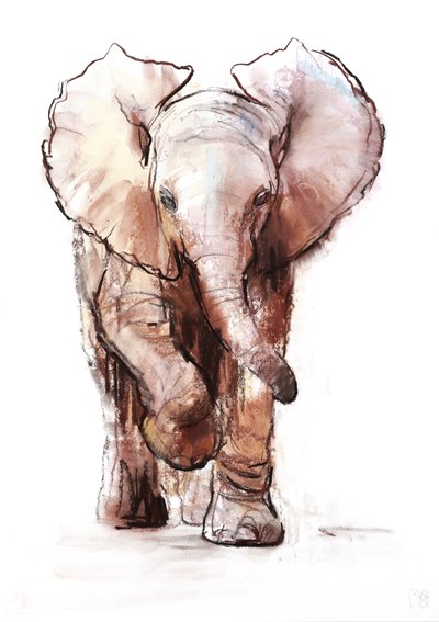 Slůně, Loisaba, 2018 od Mark Adlington