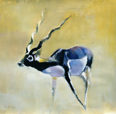 Black Buck, Velavadar, 1997 (kombinovaná média na papíře) od Mark Adlington
