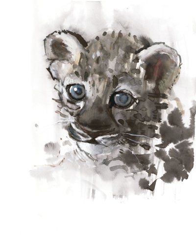 Modré oči (mládě arabského leoparda), 2008 od Mark Adlington