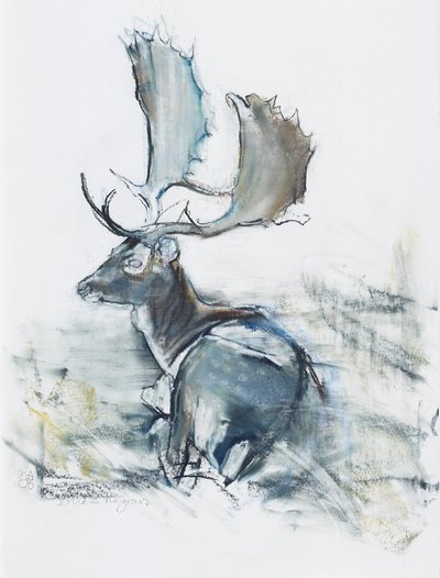 Buck in the Grass, 2006 (charcoal und conte na papíře) od Mark Adlington