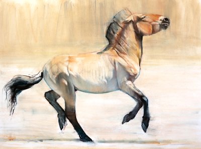 Equus (Przewalski), 2014, (pastel a uhel na papíře) od Mark Adlington