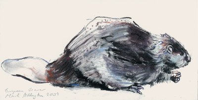 Bobr evropský (studie) 2001 (uhlí a konte na papíře) od Mark Adlington