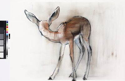 Gazelle Fawn (Arabská Gazelle) 2010 (olej na papíře) od Mark Adlington