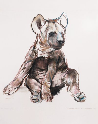 Hyaena Pup (vsedě), 2019 od Mark Adlington