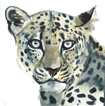 Leopard, 2015, (akvarel na papíře) od Mark Adlington