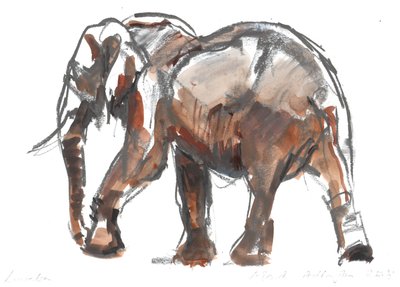 Ochrana Loisaba, 2018 od Mark Adlington