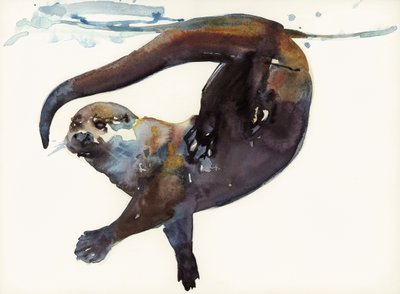 Otter Study II - "Talisker" od Mark Adlington