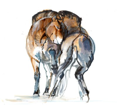 Power Dance (Przewalski), 2013 (sennelier inkoust, akvarel a kvaš) od Mark Adlington