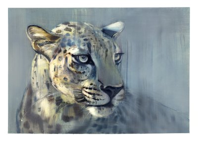 Predátor II (Arabský leopard), 2009 (olej na papíře) od Mark Adlington