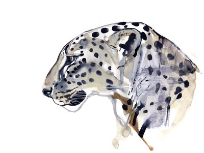 Profil (Leopard arabský), 2008 od Mark Adlington