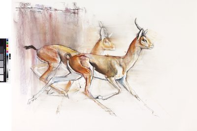 Running Arabian Gazelles, 2010 (olej na papíře) od Mark Adlington