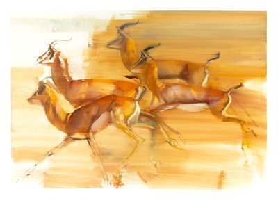 Running Gazelles, 2010 (olej na papíře) od Mark Adlington