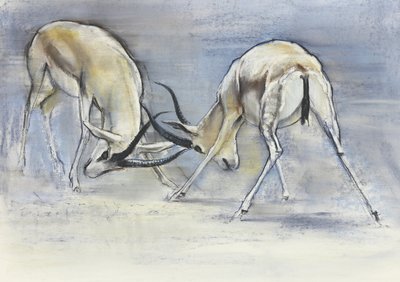 Písečné gazely, 2009 (conte a uhel na papíře) od Mark Adlington