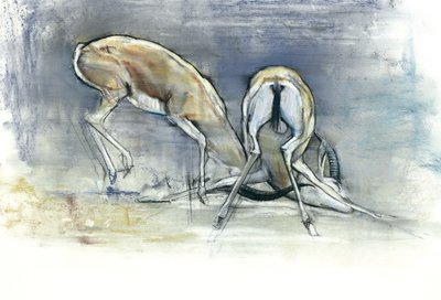 Písečné gazely, 2009 (conte a uhel na papíře) od Mark Adlington