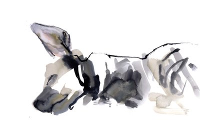 Spící hyaena, 2010, (akvarel na papíře) od Mark Adlington
