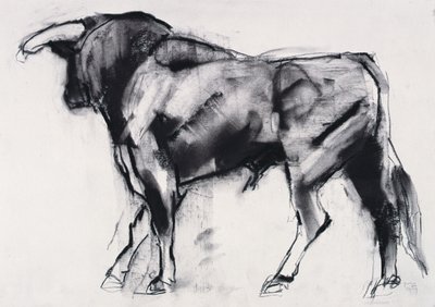 Toro Azul, studium (uhlí na papíře) od Mark Adlington