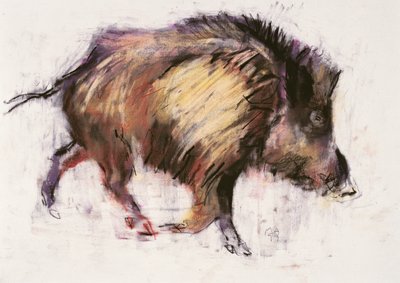 Klusající divočák, 1999 (grafit, konte a uhel na papíře) od Mark Adlington