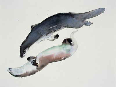 Jin-jang od Mark Adlington